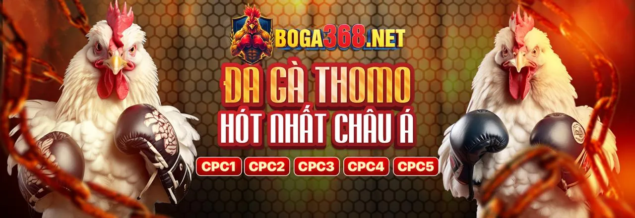 89bet1 win - Nền tảng cá cược trực tuyến hàng đầu Việt Nam